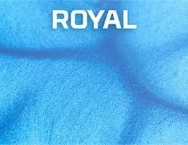 Royal – Metallic Color coating color